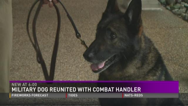 Former Navy dog handler reunited with his now retired dog | 13newsnow.com