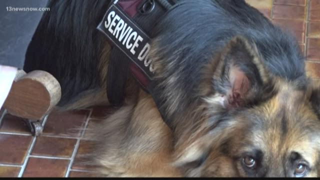 can restaurants deny service dogs